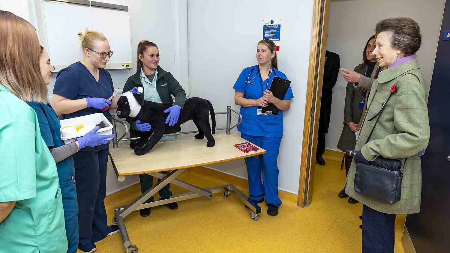 HRH The Princess Royal meets Veterinary Nursing Science Students at Sparsholt