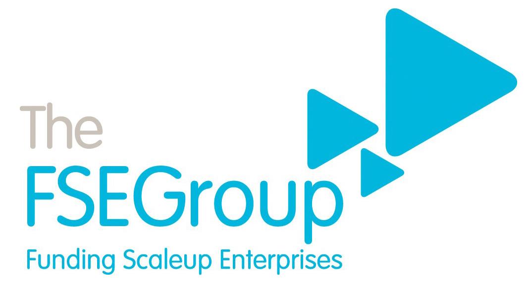 The FSE Group logo
